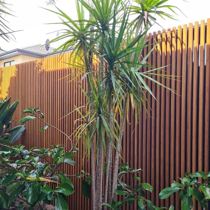 Pre-fab Bamboo Screen Panels