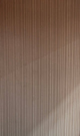 Linea slat panel close-up showing slat profile